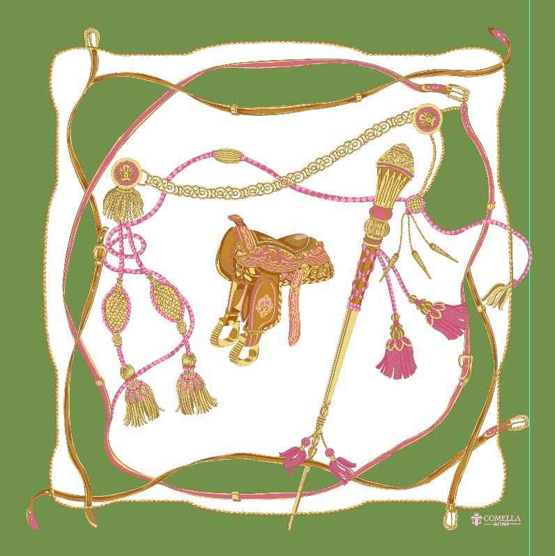 Foulard in Seta - Bastoni Acido