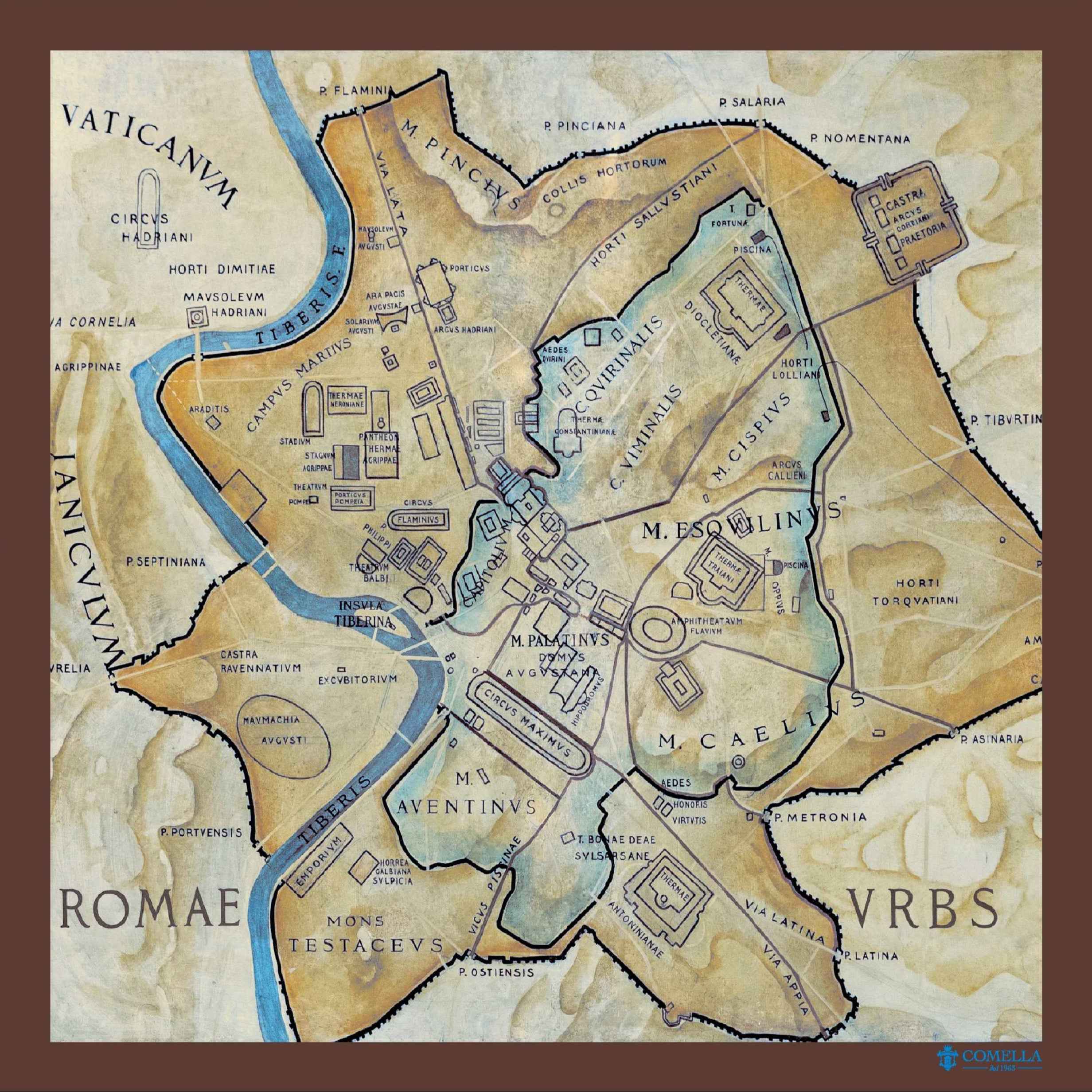 Foulard in Seta - Mappa Marrone