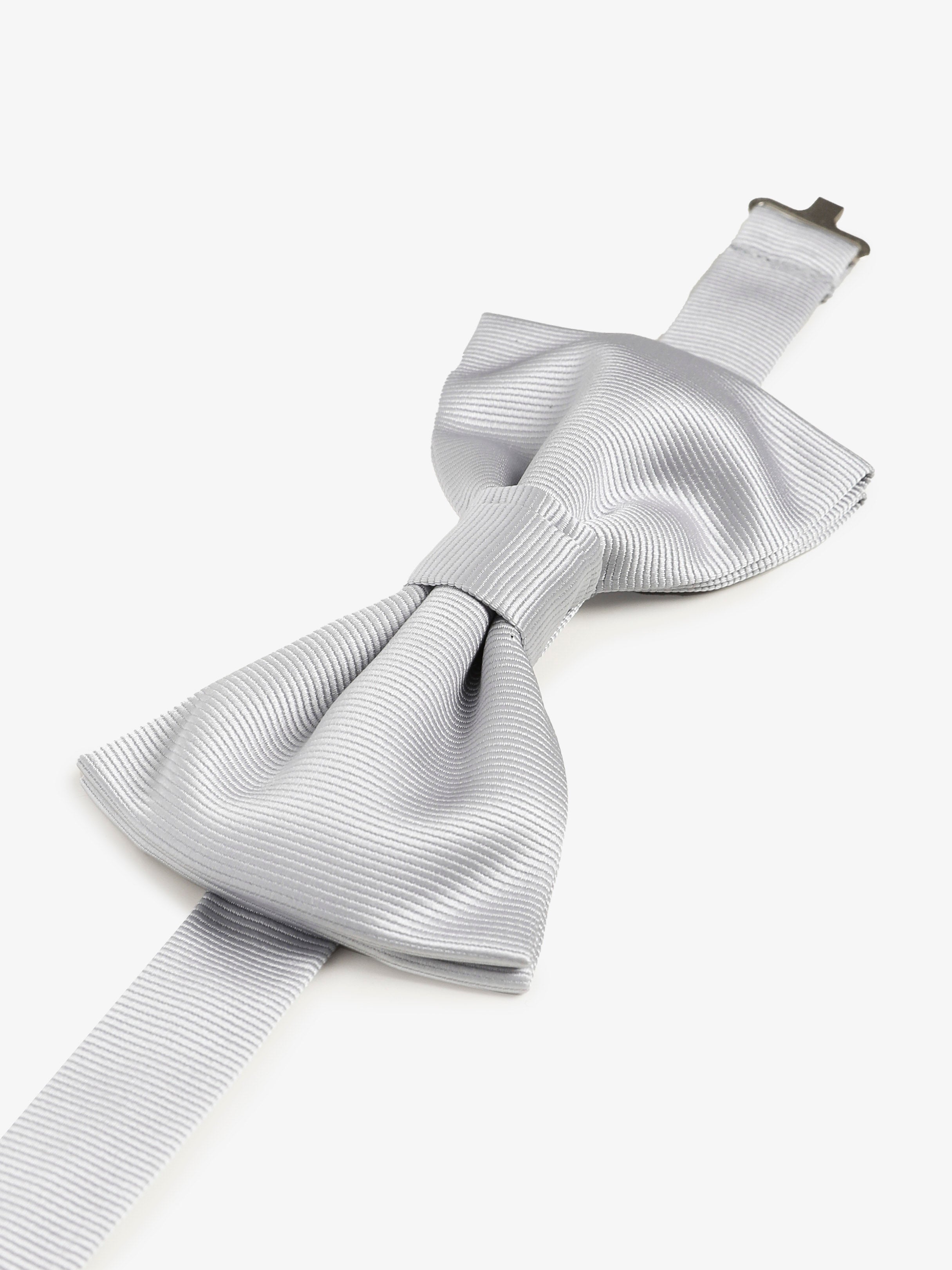 Papillon - Bianco